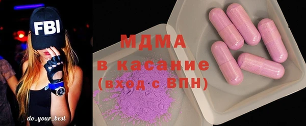 молекула духа Вяземский