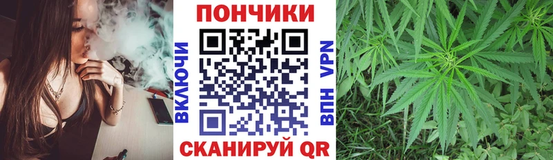 Бошки марихуана Amnesia  где купить наркотик  Каневская 